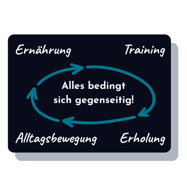 Eine Grafik zu den vier Bausteinen eines ganzheitlichen Fitness-Coachings. Diese lauten Ernährung, Training, Alltagsbewegung und Erholung und stehen in den äußeren vier Ecken der Grafik. In der Mitte ist ein Kreis mit vier Pfeilen zu sehen. Im Inneren des Kreises steht "Alles bedingt sich gegenseitig".